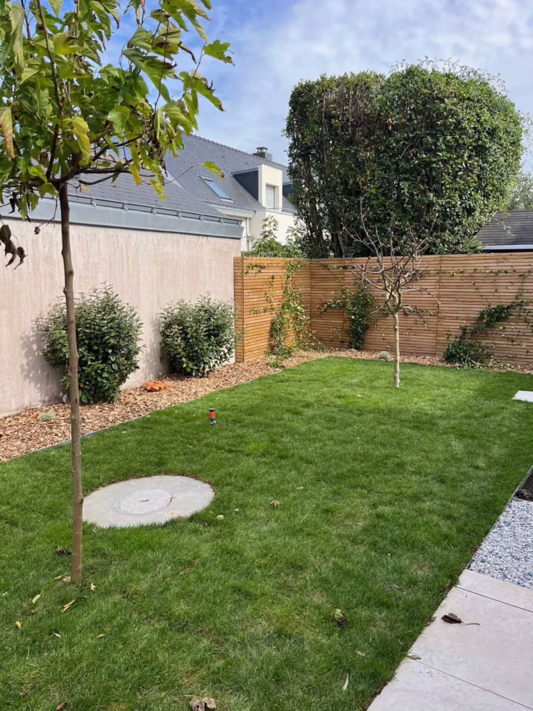 Gazon, jeune arbre et palissade bois