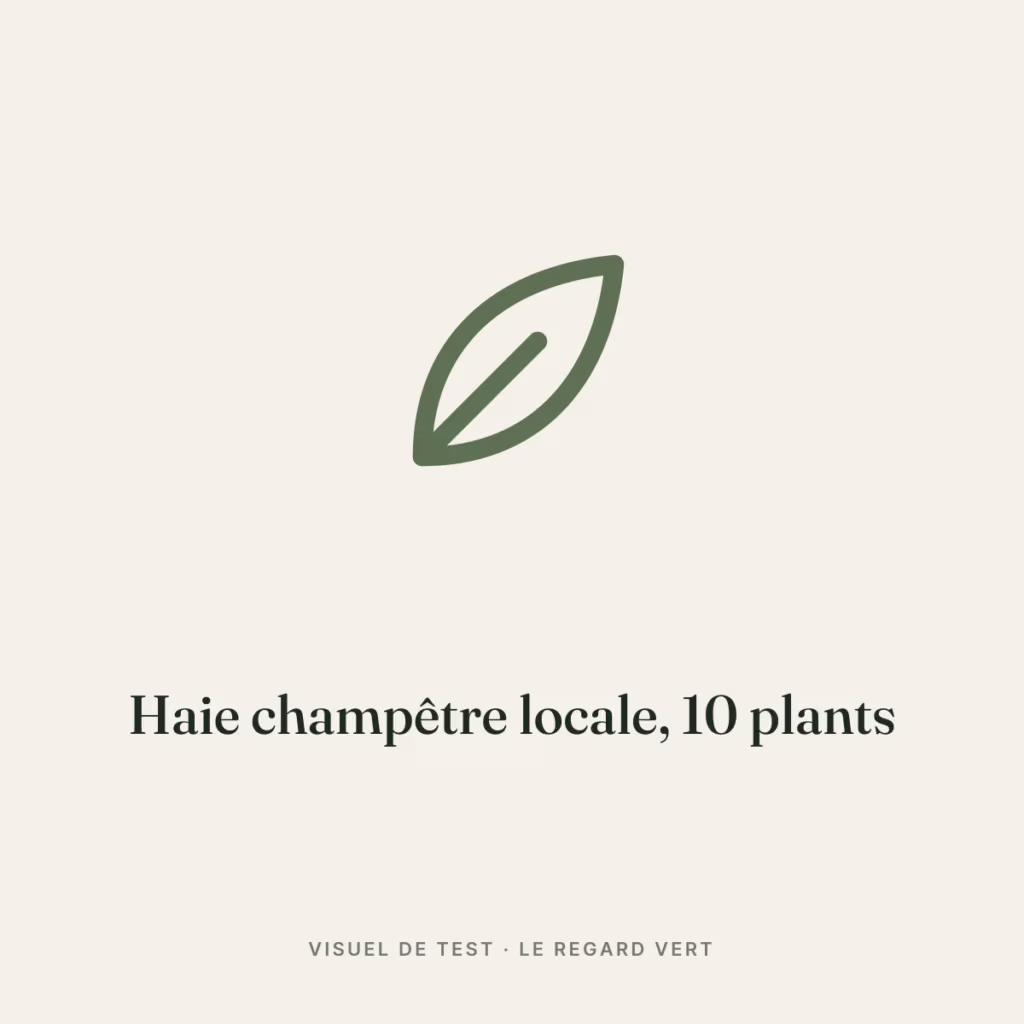 Visuel de test : haie-champetre-locale-1