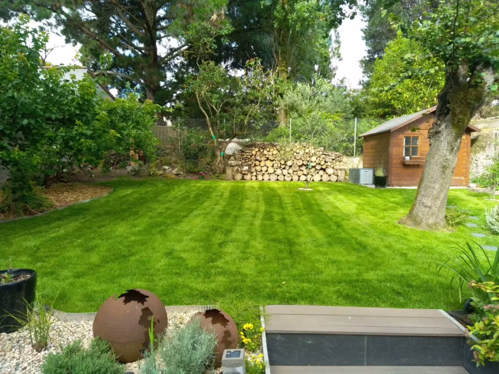 Pelouse tondue et abri de jardin