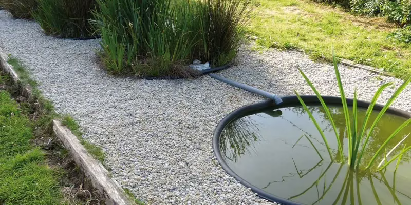 Bassin de phytoépuration et lit de gravier